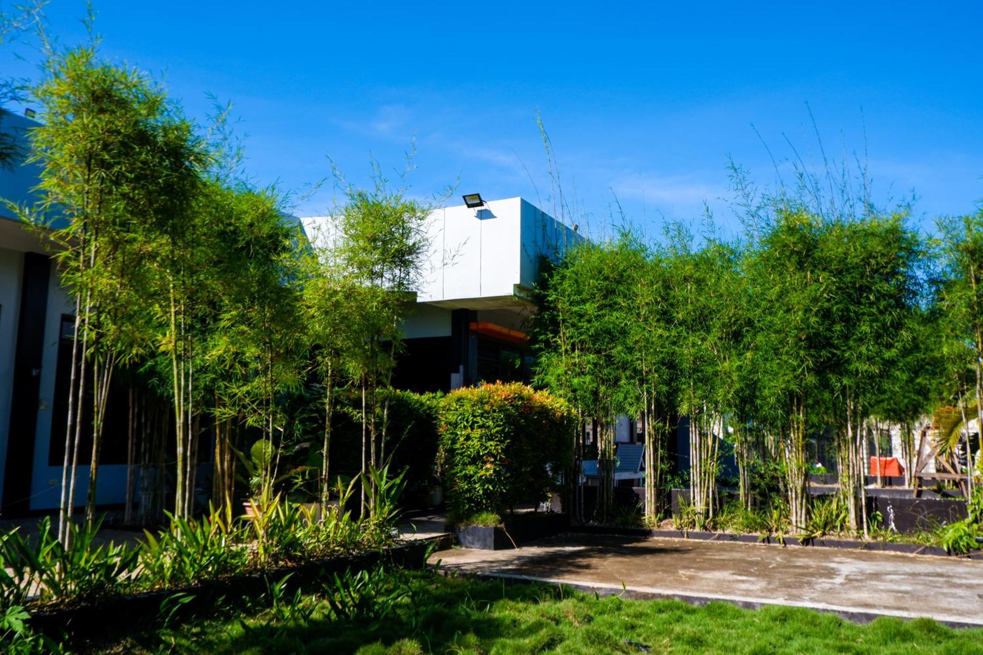 Casi Verde Guest House Panglao Island Exterior photo