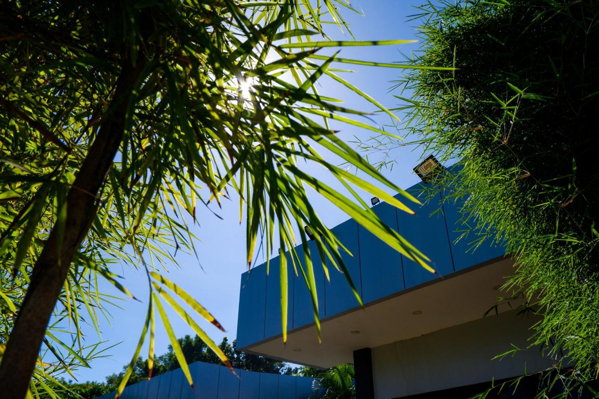 Casi Verde Guest House Panglao Island Exterior photo
